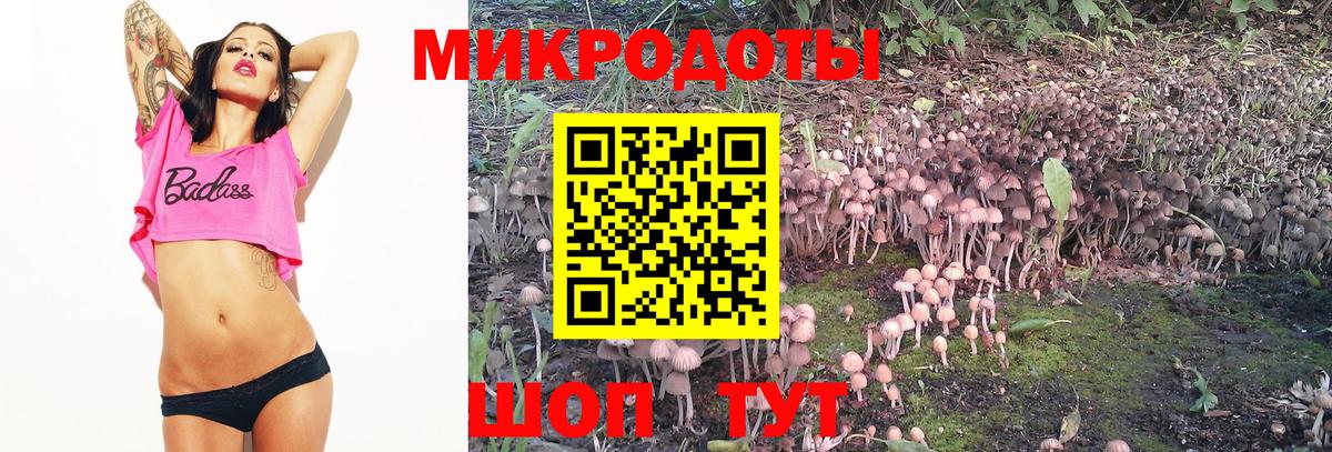Галлюциногенные грибы Magic Shrooms Александров